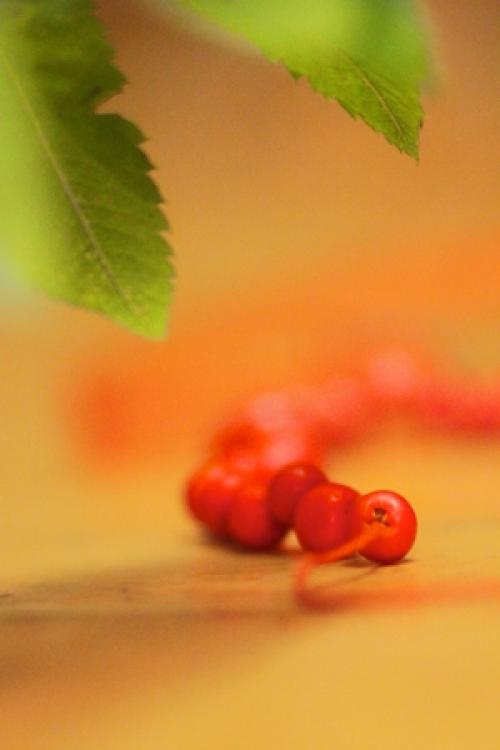 Как влияют современные технологии на традиции проводов лета картинки. Проводы лета