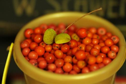 Как влияют современные технологии на традиции проводов лета картинки. Проводы лета