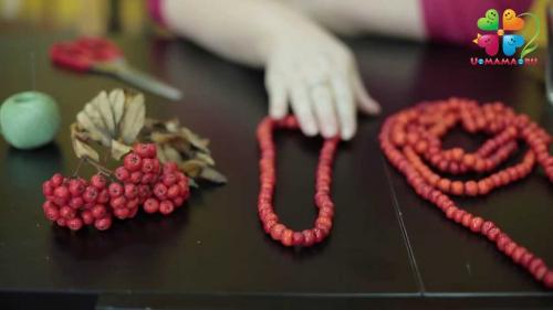 Что такое Рябиновые бусы амулет. Влияние рябиновых бус на человека