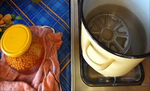 Что можно приготовить из красной рябины впрок. Моченая рябина с яблоками 06