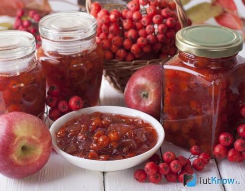 Что можно приготовить из красной рябины впрок. Моченая рябина с яблоками 10