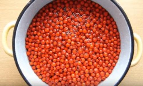 Что можно приготовить из красной рябины впрок. Моченая рябина с яблоками 04