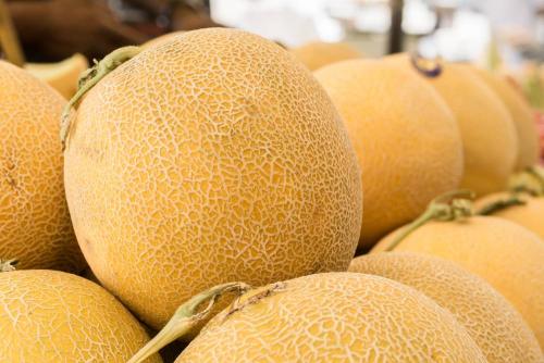 Беспроблемная ягода для осеннего урожая. Полезные ягоды и травы, которые собирают в октябре-ноябре в саду и в лесу 06