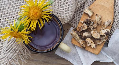 Беспроблемная ягода для осеннего урожая. Полезные ягоды и травы, которые собирают в октябре-ноябре в саду и в лесу 01