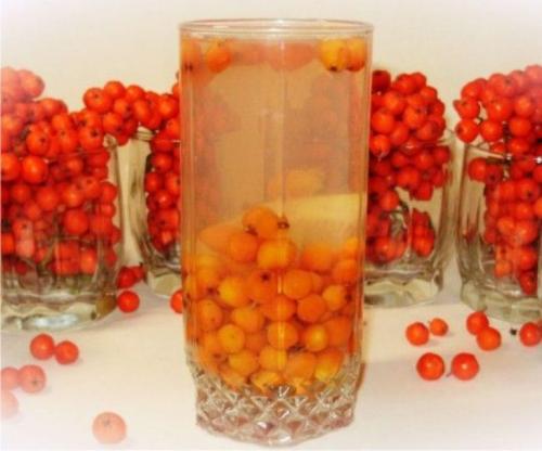 Что можно приготовить из красной рябины впрок. Моченая рябина с яблоками 08