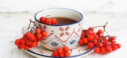 Что можно сварить из рябины. Как заготовить рябину на зиму разными способами 05 Что можно сварить из рябины. Как заготовить рябину на зиму разными способами 05