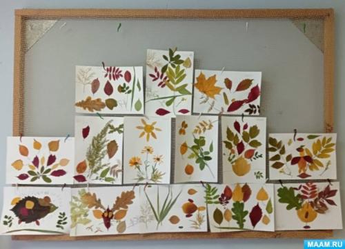 Что такое аппликации и Поделки из листьев. Аппликация из осенних листьев — эффективное средство для развития познавательных процессов детей