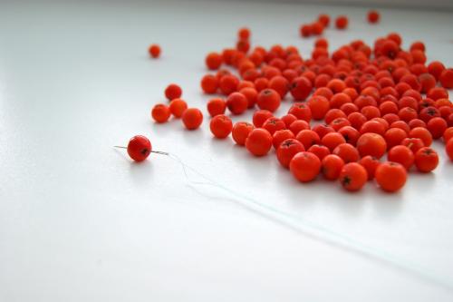 Какие виды украшений можно сделать из рябины. Бусы из рябины с ребенком