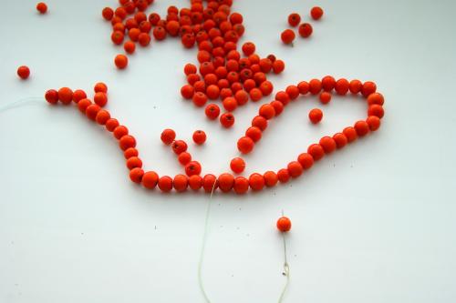 Какие виды украшений можно сделать из рябины. Бусы из рябины с ребенком