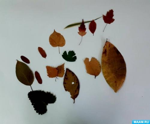 Аппликации и Поделки из листьев. Мастер-класс по аппликации из листьев «Картина из природного материала «Краски осени»