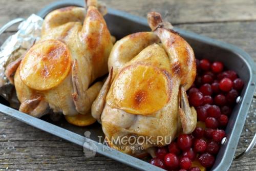 Вкусные цыплята корнишоны в духовке: рецепт и инструкции 10 Вкусные цыплята корнишоны в духовке: рецепт и инструкции 10