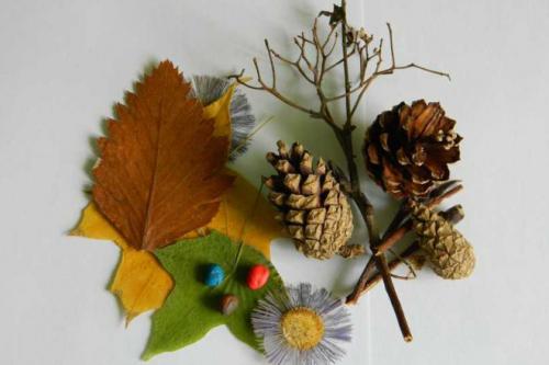 Поделка из природного материала в школу. Из природного материала