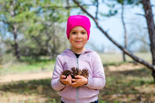 Какие виды украшений можно сделать из желудей шишек. Из каких шишек можно сделать осеннюю поделку?
