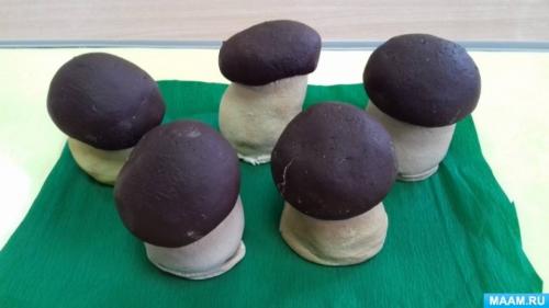 Как корзина С грибами из соленого теста может быть украшена. Мастер-класс «Грибы из соленого теста»