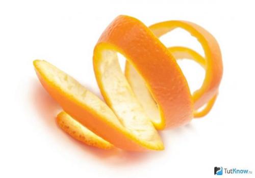 Апельсиновые корки от котов. Чем отвадить пушистых питомцев от порчи квартиры