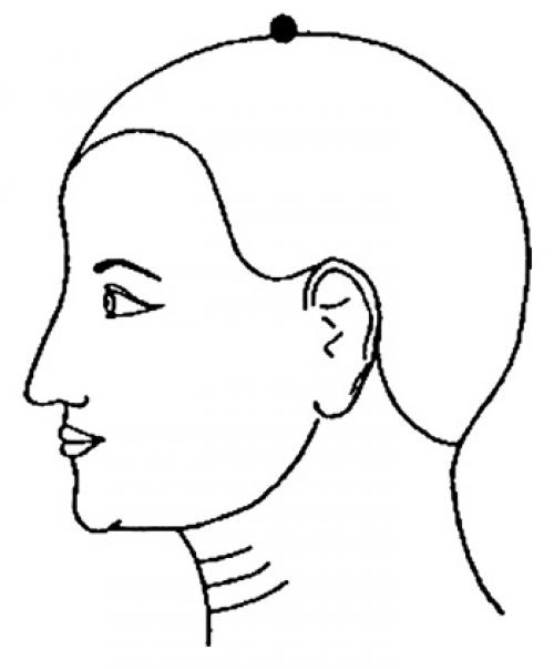 Точки на ушах отвечающие. ТЕЛО ЗАКАЛЯЮТ... УШИ 06 Точки на ушах отвечающие. ТЕЛО ЗАКАЛЯЮТ... УШИ 06