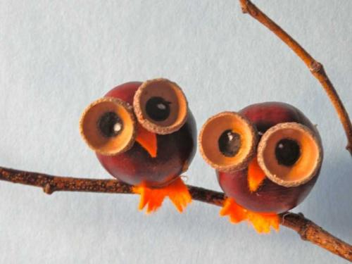 Поделки из дубовых листьев и желудей. Поделка из желудей своими руками: мастер-класс для детей, способы изготовления поделки, подробные схемы работы своими руками + фото оригинальных идей