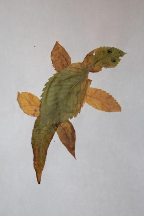 Что сделать из осенних листьев. Поделки из осенних листьев своими руками - простые и понятные мастер-классы с фото идеями 06