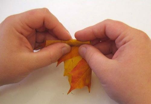 Как можно сделать розочки из кленовых листьев самостоятельно