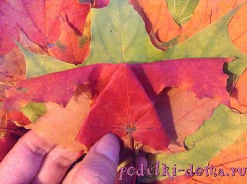 Какие цвета можно получить на розочках из кленовых листьев. Розы из листьев клена Отредактирова. 2024