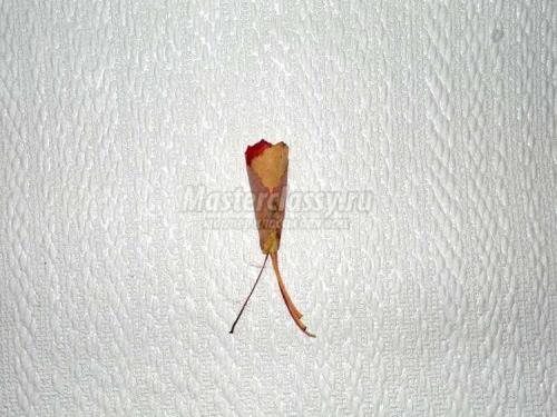 Красота из природных материалов: как из листьев сделать розу 05 Красота из природных материалов: как из листьев сделать розу 05