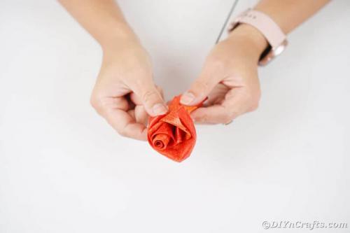 Какие декоративные элементы можно использовать для украшения розы из кленового листа. Розы из кленовых листьев своими руками (мастер класс)