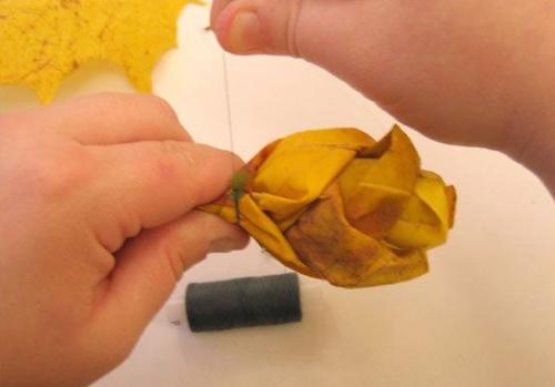 Можно ли использовать розу из кленовых листьев для украшения природы. Как сделать розу из кленовых листьев поэтапно своими руками: мастер класс