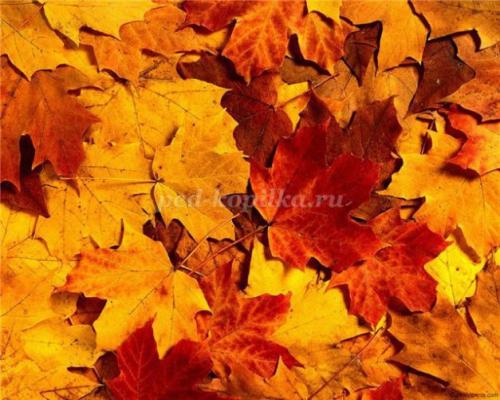 Красота из природных материалов: как из листьев сделать розу 23 Красота из природных материалов: как из листьев сделать розу 23