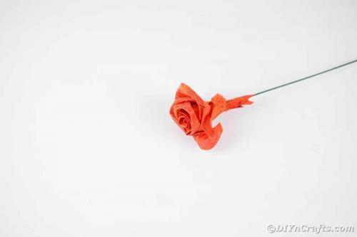 Таблица: Типы кленовых листьев