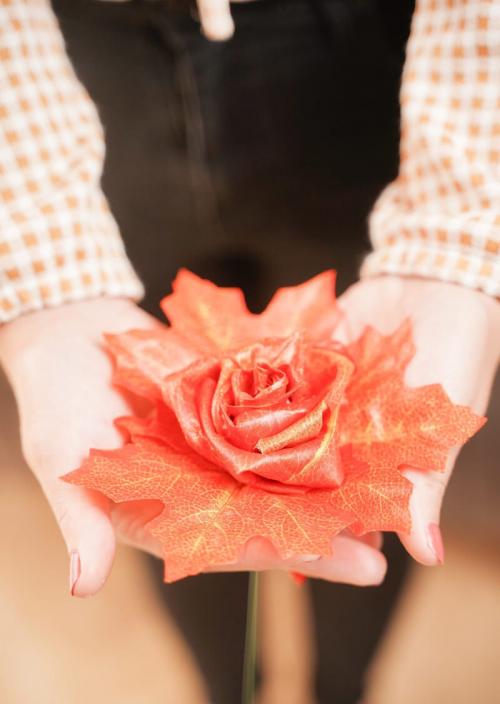 Таблица: Типы кленовых листьев