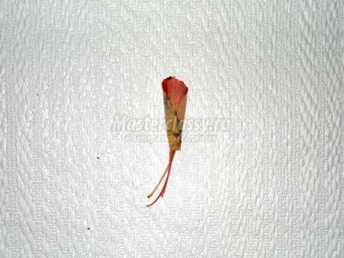 Красота из природных материалов: как из листьев сделать розу 04 Красота из природных материалов: как из листьев сделать розу 04