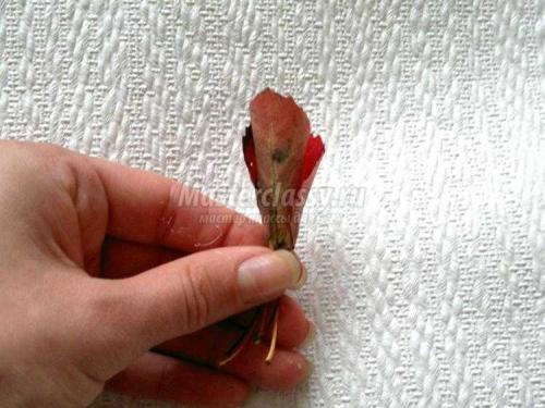 Красота из природных материалов: как из листьев сделать розу 06 Красота из природных материалов: как из листьев сделать розу 06