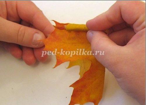 Как приготовить листья перед тем, как начать создавать розу