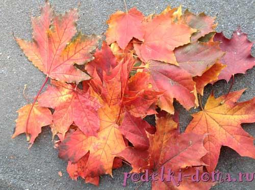 Какие цвета можно получить на розочках из кленовых листьев. Розы из листьев клена Отредактирова. 2024