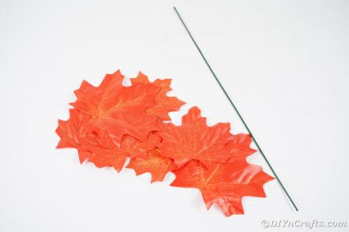 Какие декоративные элементы можно использовать для украшения розы из кленового листа. Розы из кленовых листьев своими руками (мастер класс)