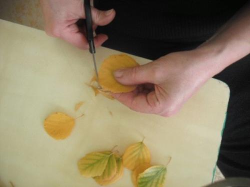 Как сделать розу из кленовых листьев