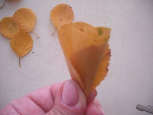 Розочка из листьев: простой способ создания красивого украшения 11