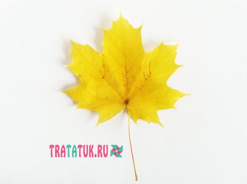 Как сделать розу из кленовых листьев