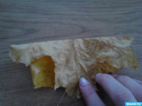 Что такое розы из листьев клена. Мастер-класс «Розы из кленовых листьев» (9 фото)