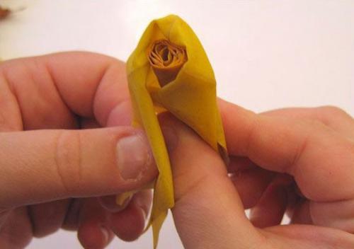 Вариации роз из кленовых листьев