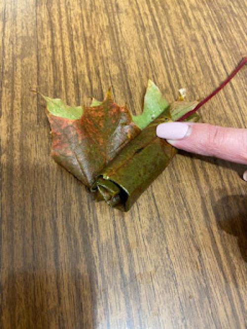 Вариации роз из кленовых листьев