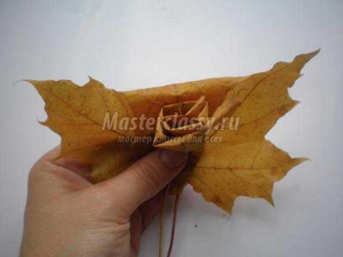 Какие виды кленовых листьев можно использовать для создания осеннего букета