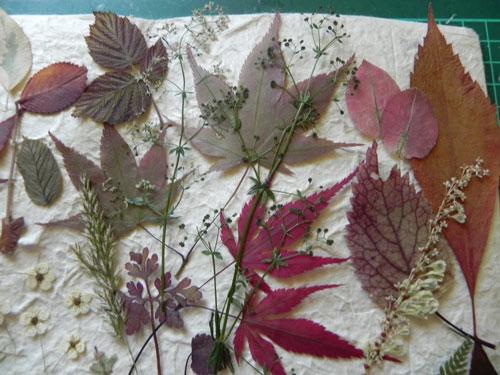 Поделки из листьев на бумаге. Поделки из листьев на тему осени: 70 идей