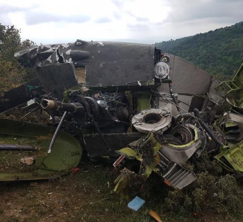 Вербушка и Паха: История спасения из Вешняков 03 Вербушка и Паха: История спасения из Вешняков 03