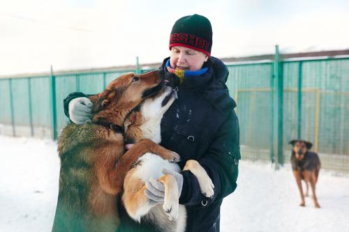Как часто происходят случаи злоупотреблений в московском приюте для собак. Как живёт один из крупнейших московских приютов для котов и собак