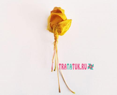 Роза из листьев клена Как сделать цветок из кленовых листьев. Розы из кленовых листьев своими руками: пошагово с фото