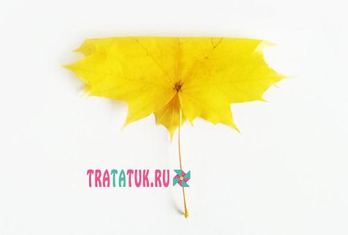 Роза из листьев клена Как сделать цветок из кленовых листьев. Розы из кленовых листьев своими руками: пошагово с фото