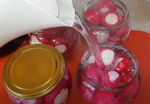 Можно ли мариновать редиску. Маринованная редиска — рецепты на зиму в банке, быстрого приготовления, по-корейски
