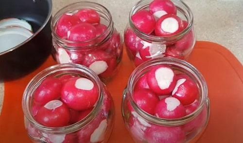 Можно ли мариновать редиску. Маринованная редиска — рецепты на зиму в банке, быстрого приготовления, по-корейски