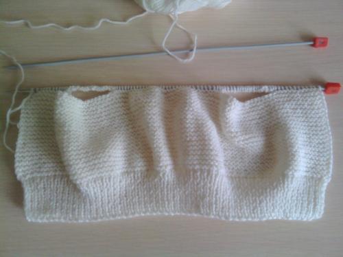 Как связать свитер собаке среднего размера. Кофта для собаки